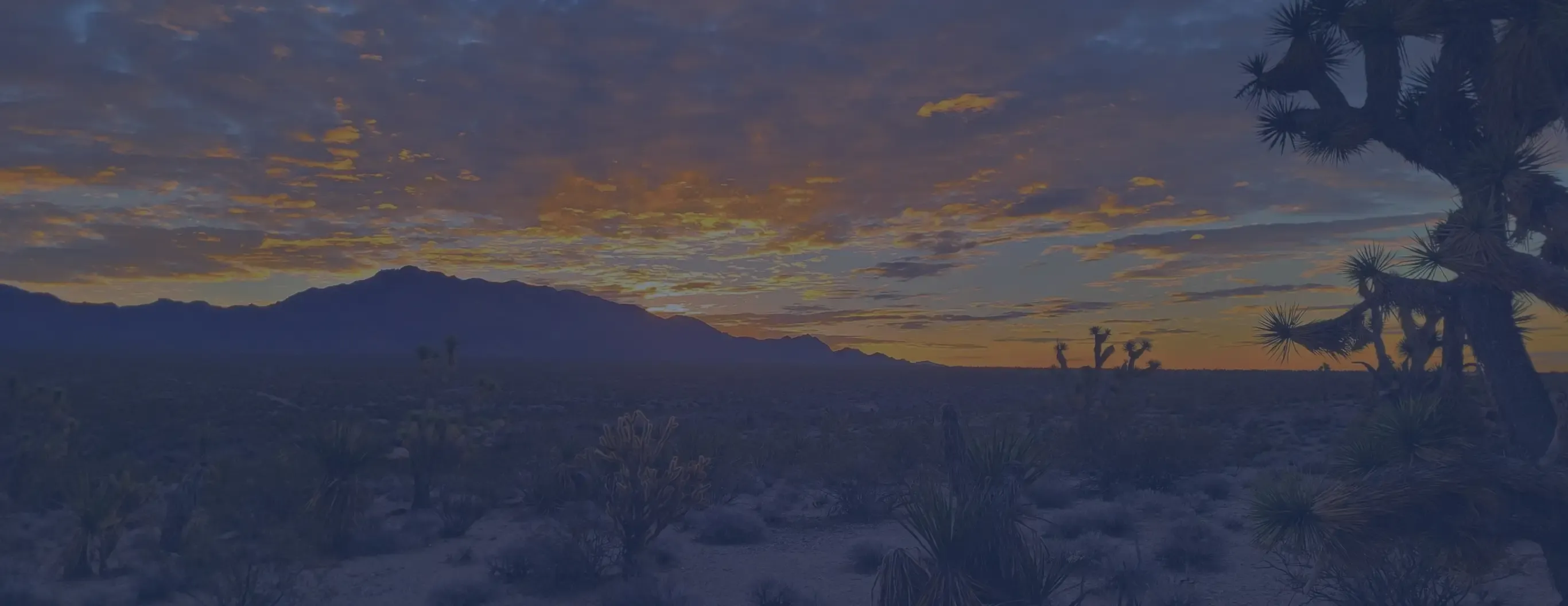 A serene desert landscape featuring a vibrant sunset casting warm hues across the sandy terrain