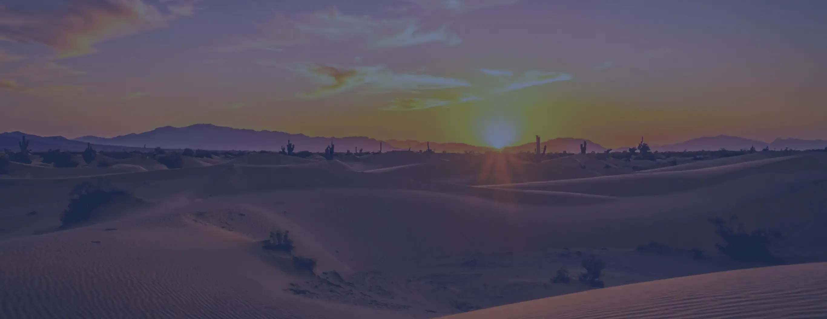 A vibrant sunset casts warm hues over a desert landscape